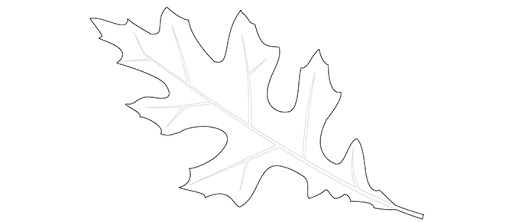 Kolorowanka liść dębu błotnego